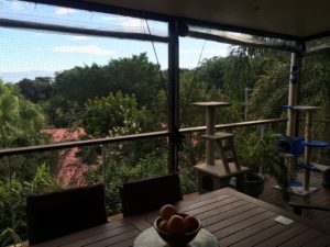 Buderim deck